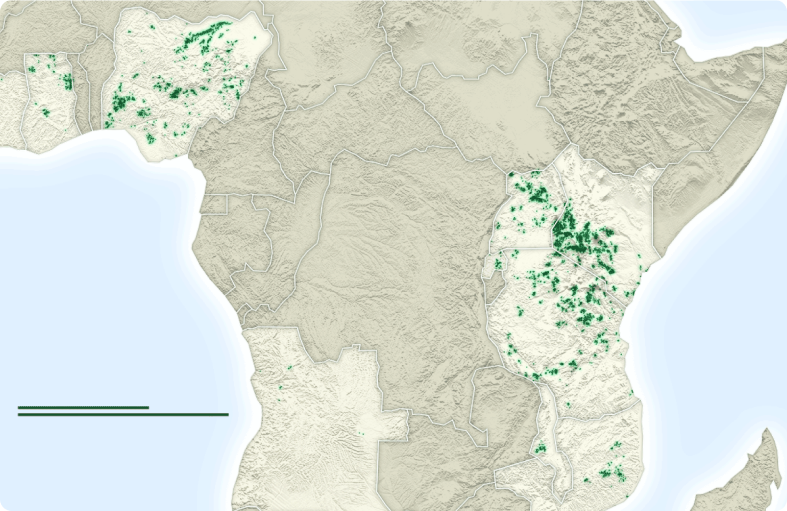 Africa image of tractors supplied by Hello Tractor